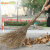 Supercloud 大扫把 竹环卫马路物业柏油道路地面清扫清洁大号笤帚扫帚 竹枝连体2.5斤款