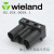 定制wieland公头3芯连接器GST18I3L S1H SW 92.034.0058.1