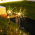 新款蒲公英太阳能户外灯庭院花园布置防水草地草坪灯阳台露台装饰 彩光-蒲公英-1只装