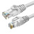 舜普（SP）CPS610 六类非屏蔽成品网线 10米 成品网线1根