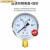 适用于于上海仪川仪表厂Y60 1.6MPA普通压力表气压表水压表 定制 Y-60 0-4MPA