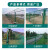 高速公路双边丝护栏网光伏围墙户外养殖框架防护网绿色铁丝网围栏 高1.8米*长3米 丝径5.0mm