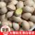 2021年 新鲜白果 银杏果 带壳干货生白果 邳州特产 5.5斤白果+食谱+开果器
