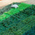仿真绿植 假植物墙装饰栅栏篱笆阳台遮挡塑料绿藤吊顶花园庭院隔断围挡绿叶子假花藤条 浅绿萝1米*3米 通用