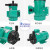 申亿莱 MP磁力化工泵氟塑料耐酸碱耐腐蚀微型磁力驱动循环水泵 MP-6RM螺纹口220V