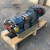 不锈钢转子泵厂家 凸轮式双转子泵  高粘度卫生级凸轮转子泵 6.3-31T/H(11kw）