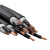 江南电缆 (JIANGNAN CABLE) 铜芯低烟无卤阻燃电线 WDZ-RYY 450/750V  2*2.5 