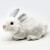 定制兔外形标本J43152兔模型小学科学实验器材学生用学具生物课教学教具仪器