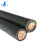 卓众 铜芯聚氯乙烯绝缘电线 BVR-450/750V-1*0.75 50m 黑色