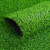 庄太太 1.5cm翠绿色薄款 仿真草坪人工塑料假草皮装饰地毯一平方单价ZTT-9048