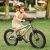 泊威尔飞鱼儿童自行车男女孩10岁12中大童小学生16寸20寸超轻单速脚踏单 16寸红色高把全套