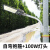 上海亚明路灯304050100w户外道路灯具防水照明灯室外照明灯200瓦 100W路灯头自弯抱箍杆