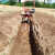 开沟机施肥小型微耕机农用机械起沟神器旋果园松土挖沟机 柴油7.5+开沟