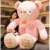 迪士尼（Disney）特大号抱抱熊泰迪熊猫公仔布娃娃女孩大熊毛绒玩具超大玩偶抱着睡 粉红色熊 拉直1.2米(+小礼品)