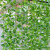 仿真藤条绿萝叶装饰假树叶绿藤藤蔓塑料花藤水管道遮挡空调绿叶花 66叶过胶爬山虎5条