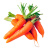 采缇（CAITI）蔬菜新鲜胡萝卜农家自种萝卜无公害宝宝小三斤 胡萝卜三斤装 京鲜配