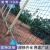 夜莺 硬塑荷兰网铁丝网围栏养殖网养鸡网栅栏钢丝网隔离防护网铁网 1.5毫米粗1.2米高3厘米网孔18米14斤左右
