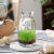 睿格达微景观生态瓶家居微景观海藻水培盆栽桌面玻璃生态瓶透明创意玻璃 喇叭口(大号)+水草籽+石子