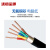 沈缆金环 ZR-KVV22-450/750V-5*2.5mm² 国标阻燃铜芯铠装控制电缆 1米