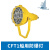 上海亮舟 船用防爆投光灯CFT1铝质铜质网罩IP56带镇流器400W/450W 防爆投光灯CFT1/高压钠灯/400W