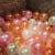 气球装饰加厚防爆珠光气球100个生日派对装饰场景布置儿童卡通七彩色汽球 珠光绿色100个