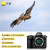 尼康（Nikon）【国行带票】Z8单机身 全画幅微单 专业级数码相机 精准自动对焦8K视频拍摄高速连拍 Z8单机+Z 24-70 2.8S常规变焦 【至誉128G/150mbSD卡+尼康15A电池】