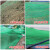 鹿色 抑尘网环保覆盖网盖土网 山体护坡 绿色3针8米宽20米长