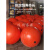 浮球航标警示标志障碍球航道水上浮标浮球塑料双耳海上水上漂浮球 1000*900mm