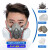 赛瑞佳化学实验室口罩防毒面具全面罩喷漆化工防尘面罩口罩防护罩工业专 6200防尘毒套装+30片 梯形棉