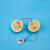 手工DIY科学实验材料小学初中学校可乐土豆柠檬番茄发电实验科技 水果电池（灯款）