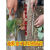 圣科莱栽种红薯苗地瓜插苗器种植工具叉子平栽工具葱苗栽苗器 一把 一把载苗器