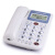 W 办公座机 固定电话机 商务坐机 免电池 双接口 创意 W288白色