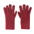 劳保佳 双层保暖触屏手套 防寒加厚针织毛线手套 红色 均码 一双装