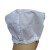 苏识 NWZG-LB008 工作棉布品管帽 白色 15顶/包 1 1