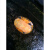 梦茜儿（MEXEMINA）火焰龟进口红黄腹龟宠物观赏深水乌龟苗圆澳火焰龟乌龟东锦吃鱼粪 进口火焰龟 5-6厘米