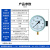 冀自仪电阻 远传压力表YTZ-150远传压力表 径向 0-0.6mpa恒压供水远程配变频器专用水压油压气压表	