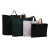 稳斯坦 WST1014 塑料包装袋(10个) 服装购物袋PE手提袋 磨砂黑 50*40+10