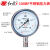 BLD 红旗仪表不锈钢压力表Y-100BF1mpa防腐耐高温全不锈钢 单位：个 0-6MPA