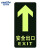 金诗洛 KSL213 PVC夜光地贴 疏散指示牌 消防通道标志牌 反光消防安全标识(安全出口直行C-1)2个