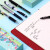 百乐（PILOT） 限定款 日本11.11限定礼盒0.5中性笔水笔套装 V5G2学生考试针管笔签字笔 经典搭配黑色（5支装）