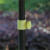 安路冠 户外遮阳伞 防晒防雨沙滩伞太阳伞庭院伞广告伞大型伸缩雨伞加厚布+加粗架3米 30寸(不含底座) 
