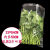 市新鲜果蔬保鲜袋打孔一次性透气蔬菜袋精品有机蔬菜包装可定制 33*54(内长50CM 打12孔) 100只1x1mm 花刀 打孔