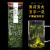 馨溪（XINXI）薄荷叶茶新鲜颗粒薄荷茶叶干食用清凉茶正片配柠檬片泡水喝20g
