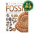 华研原版 Fossil DK Eyewitness 目击者系列 化石 英文原版 英文版