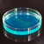海斯迪克 HKQS-150 加厚玻璃培养皿 细胞培养高硼硅培养皿 玻璃高透明平皿 120mm
