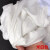 白色棉布擦机布棉工业抹布大块碎布吸水吸油不掉毛无尘布 广东100斤（包快递）