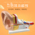 动力瓦特 耳模型 人耳朵解剖模型 内耳结构医学模型 耳鼻喉科教学展示模型 5倍耳朵解剖模型