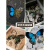 机械蝴蝶标本机械蝴蝶机械物种diy标本摆件盲盒零件模型手工diy材 角花(古铜色4个)