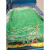 定制定制定制网袋子 编织袋 网眼袋 玉米网袋 大蒜网袋 蔬菜水果网袋 100条40x60绿色普通