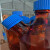 驻季棕色螺口流动相液瓶二口三口四口储液瓶色谱溶剂瓶蓝盖丝试剂瓶 四口3000ml